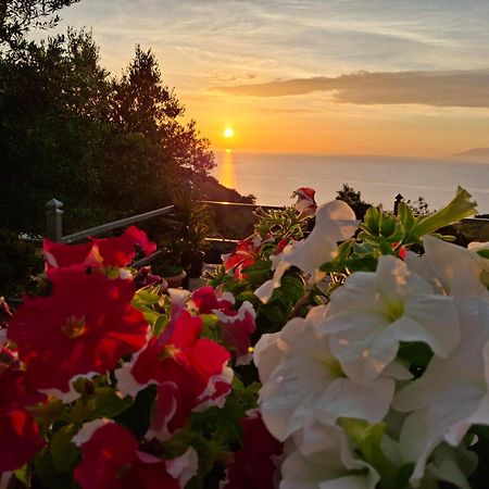Amar Seaside Apartment Ксамил Екстериор снимка