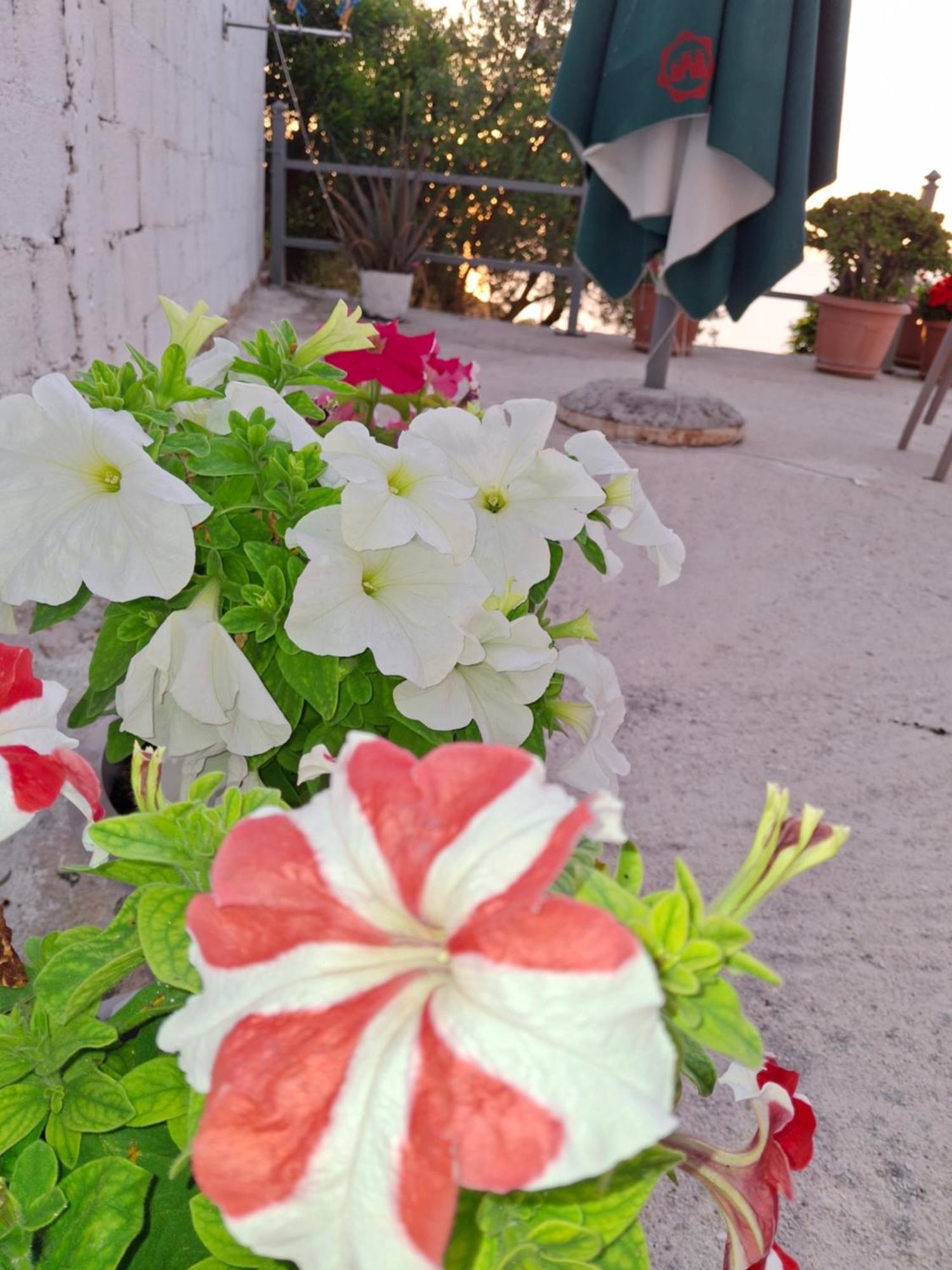 Amar Seaside Apartment Ксамил Екстериор снимка